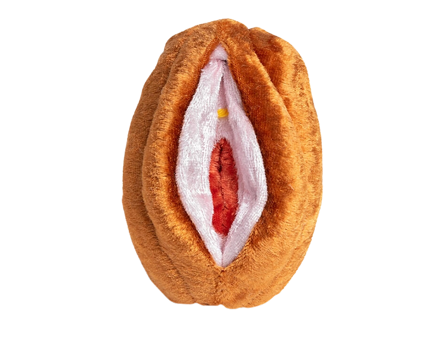 Vulva | klein Vulva | klein