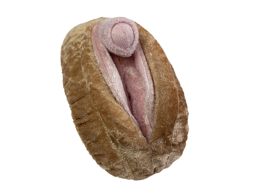 Vulva mit vergrößerter Klitoris