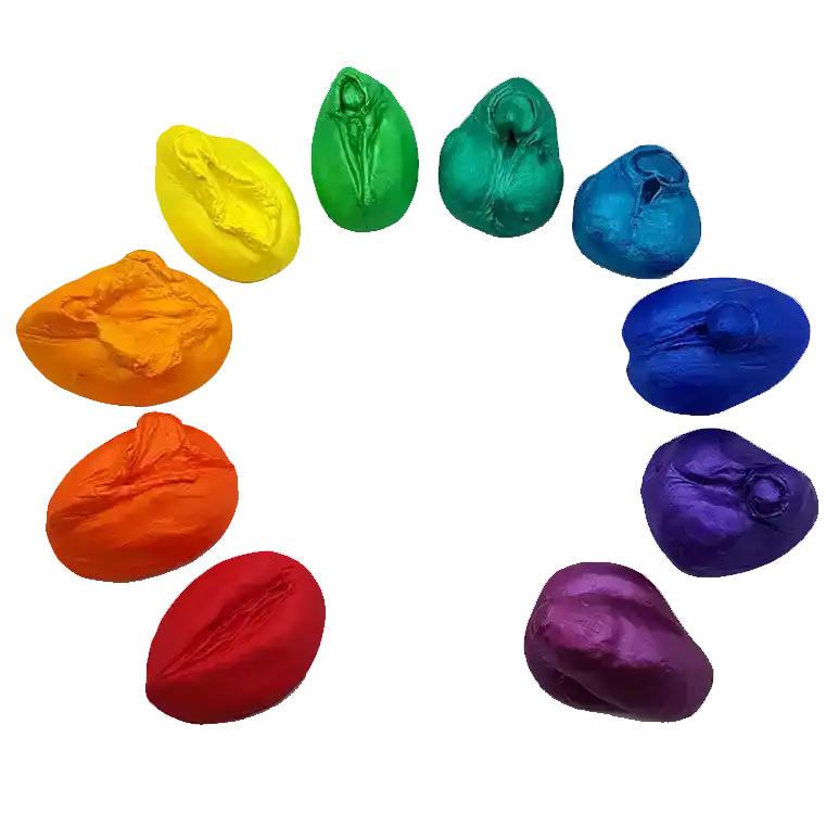 Genitalmodelle im Set "Vielfalt" Genitalmodelle im Set "Vielfalt"