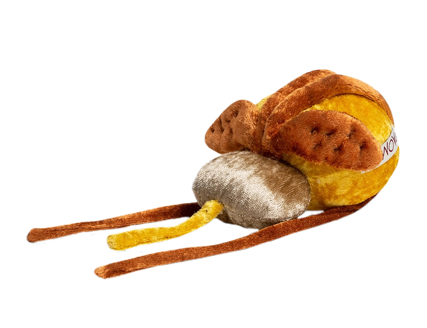 Harnblase mit Harnröhre und Prostata Harnblase mit Harnröhre und Prostata