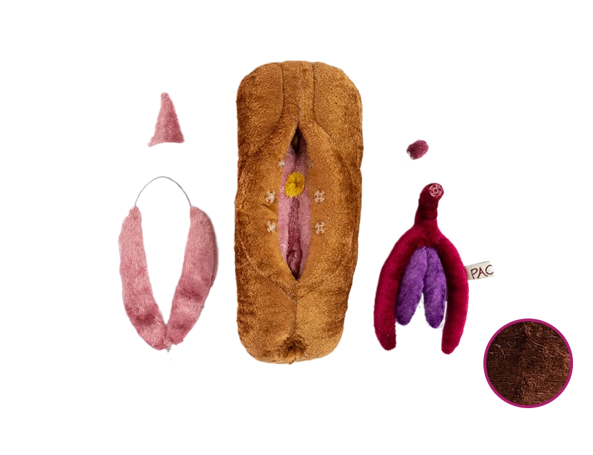 Vulva | flach | FGM Vulva | flach | FGM