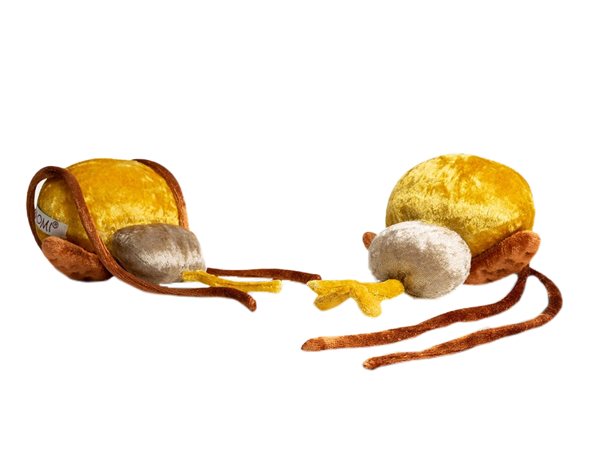 Harnblase mit Harnröhre