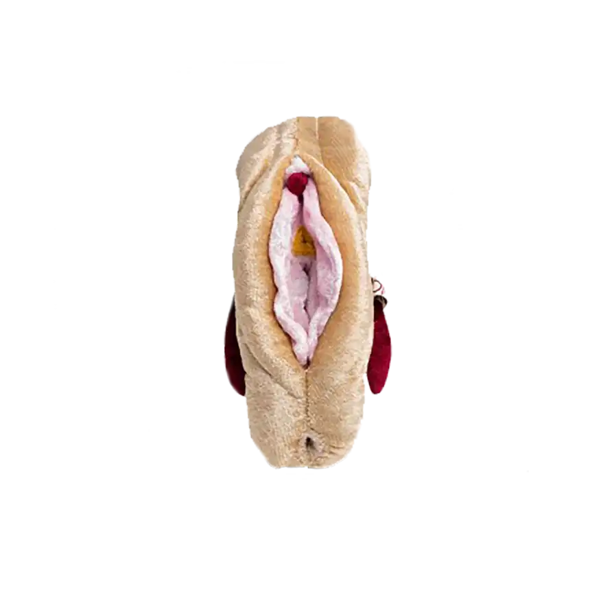 Vulva flach variabel + Klitoris mit Schwellkörper