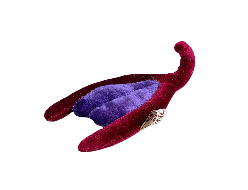 Klitoris mit Schwellkörper Klitoris mit Schwellkörper