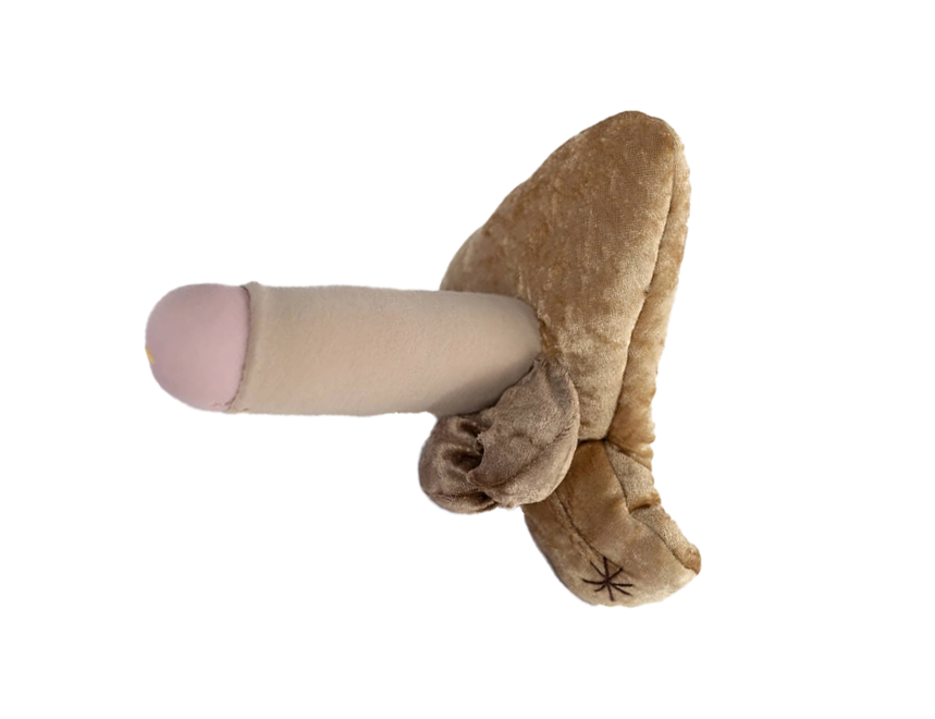 Penis | flach | groß Penis | flach | groß