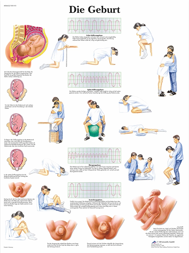 Lehrtafel Die Geburt Lehrtafel Die Geburt