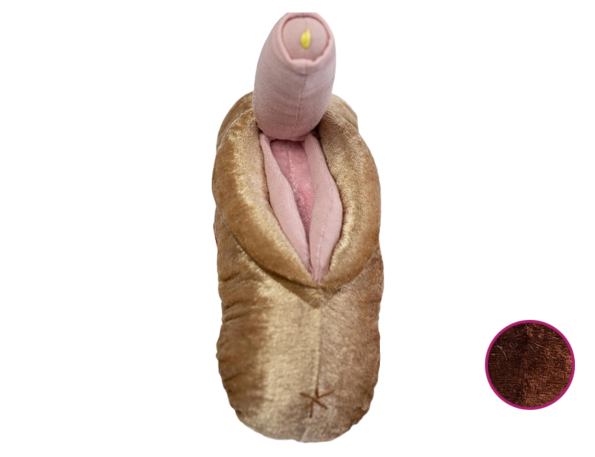 Penis und Vulva