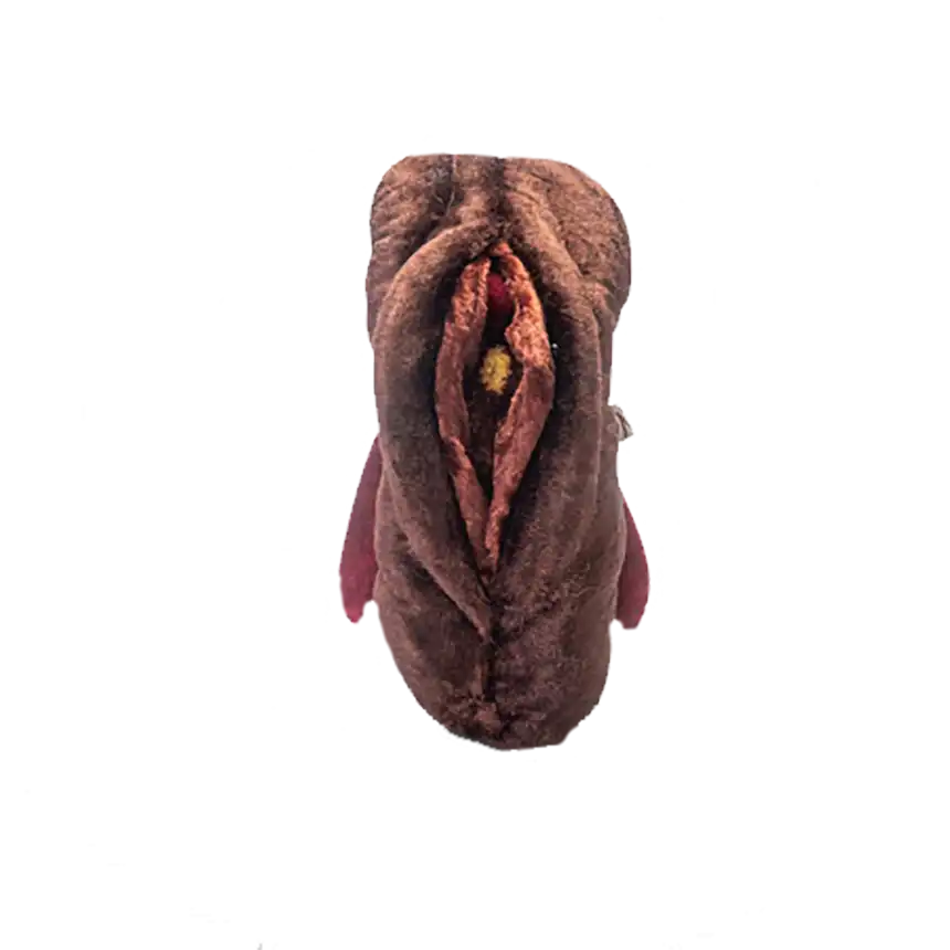 Vulva flach variabel + Klitoris mit Schwellkörper Vulva flach variabel + Klitoris mit Schwellkörper