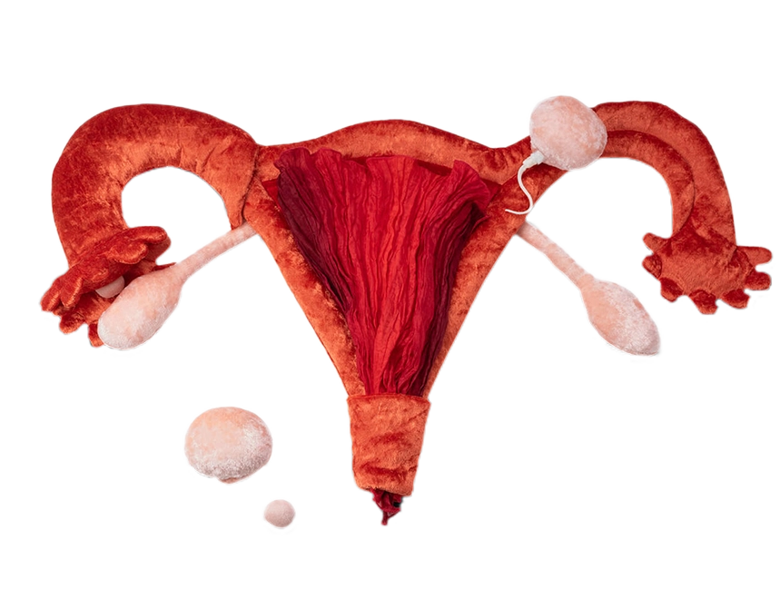 Zyklusmodell Zyklusmodell