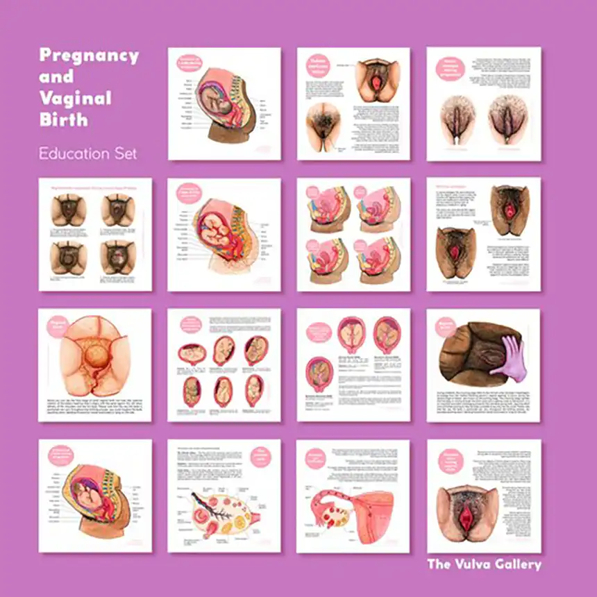 Pregnancy & Vaginal Birth Pregnancy & Vaginal Birth