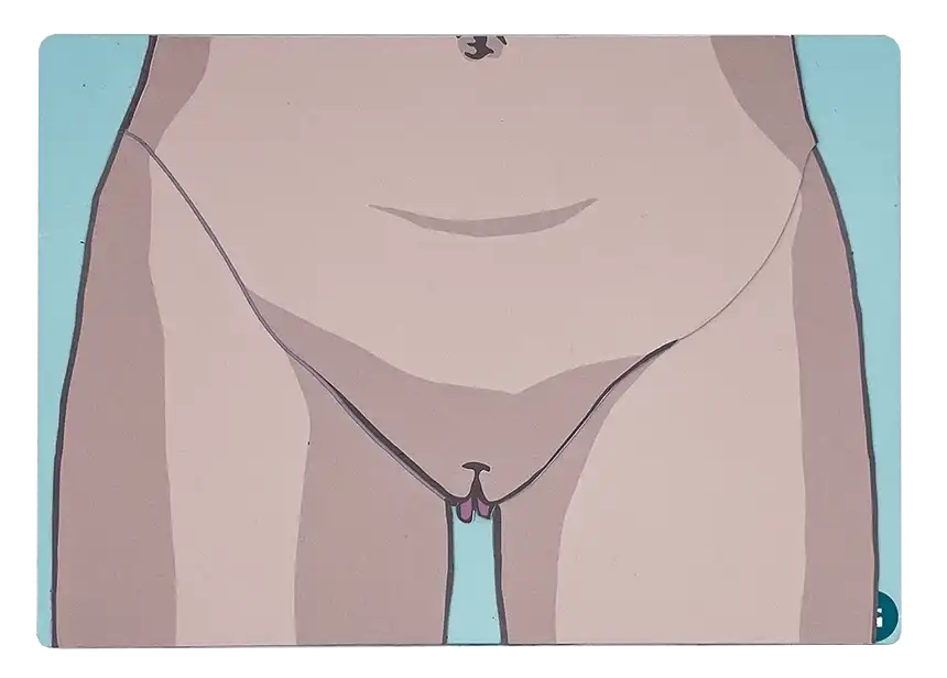 Tasttafel "Anatomie" Tasttafel "Anatomie"