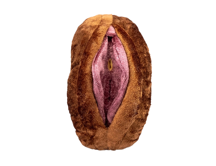 Vulva Vulva
