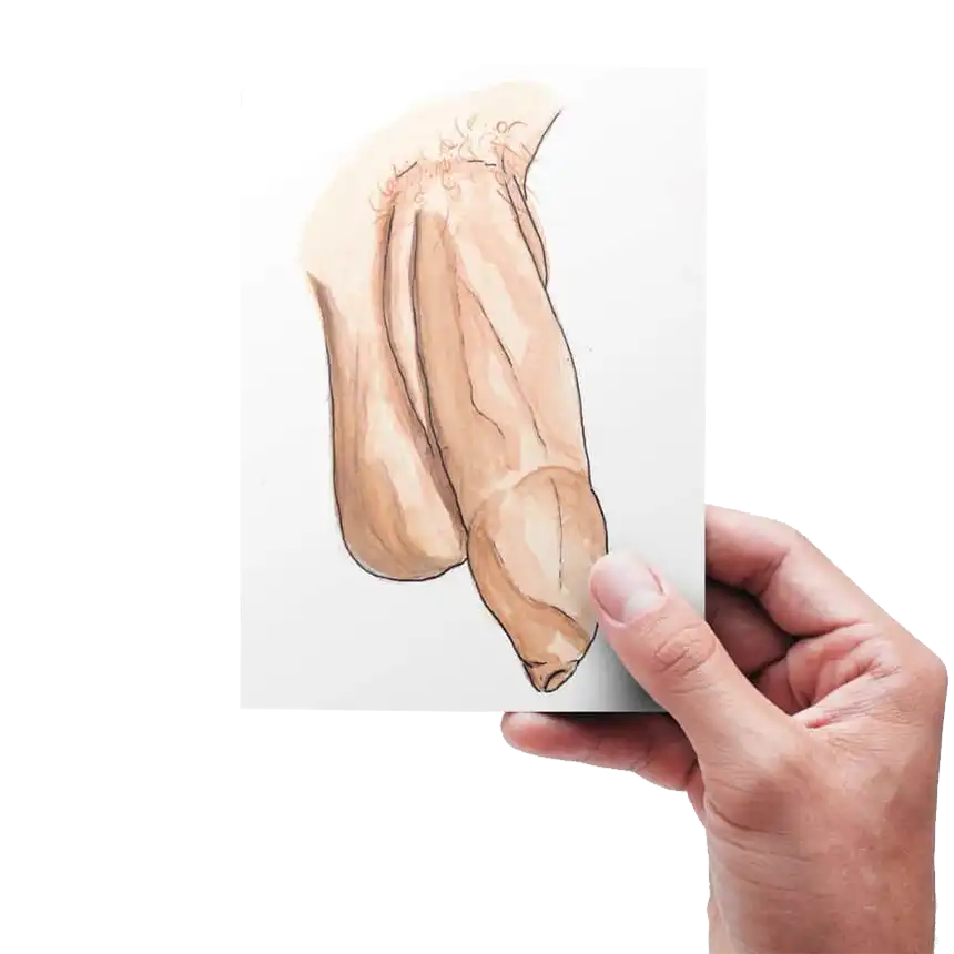 Geni(t)ale Vielfalt Geni(t)ale Vielfalt