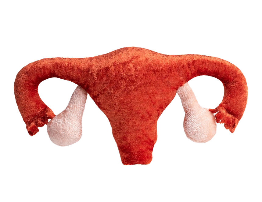 Gebärmutter klein Gebärmutter klein