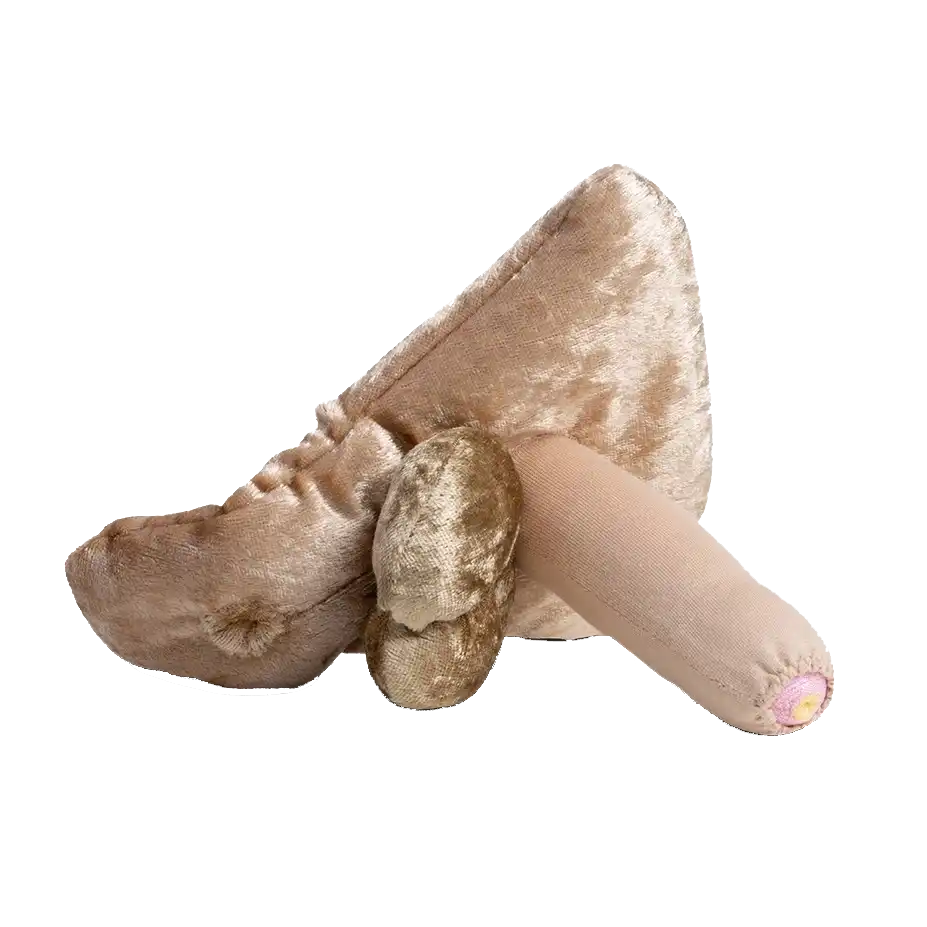 Penis groß flach Penis groß flach