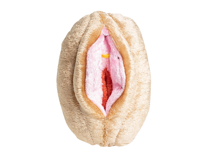 Vulva | klein Vulva | klein