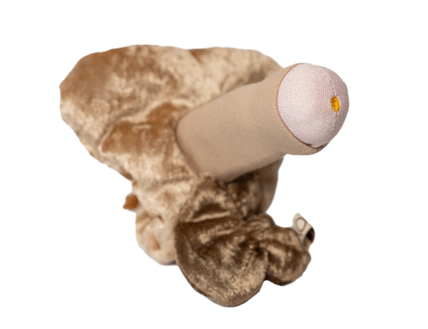 Penis | flach | klein | mehrteilig Penis | flach | klein | mehrteilig