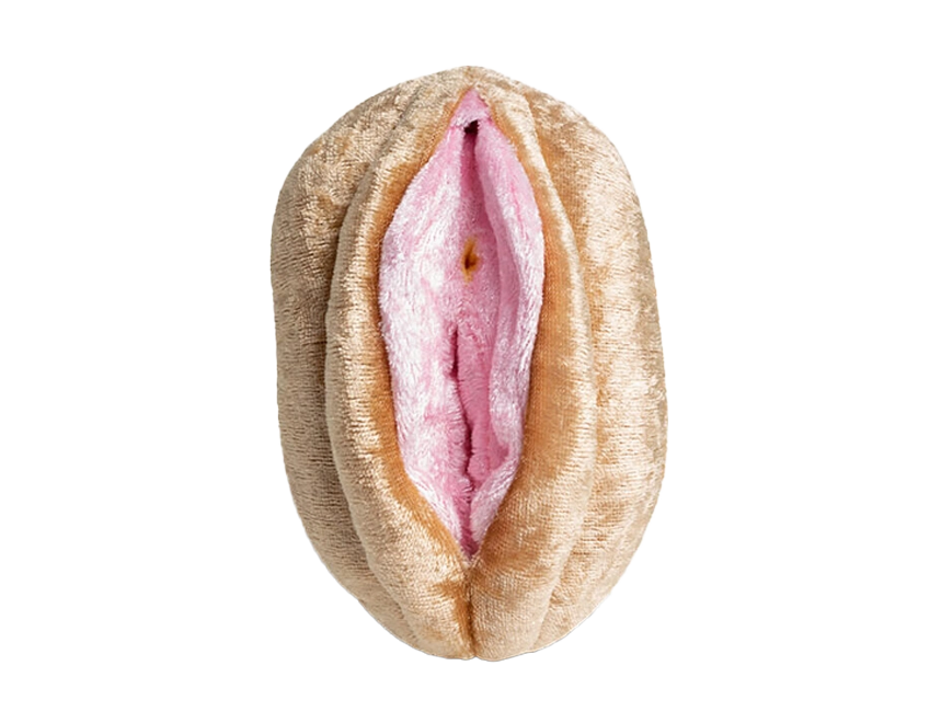 Vulva Vulva