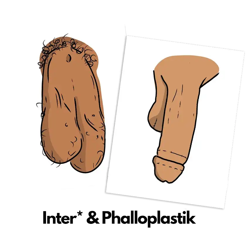 Vulva Penis Inter*